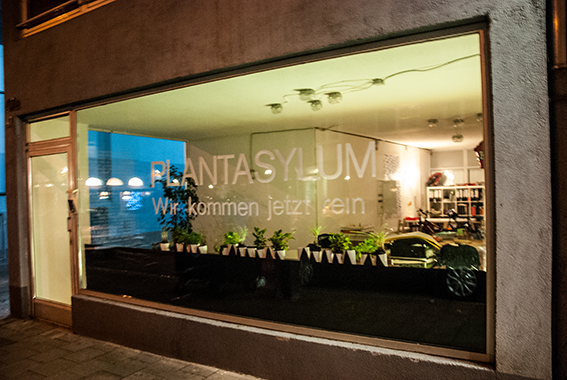 The picture is showing the installation Plantasylum by the artist Sandra Miriam Ehlen